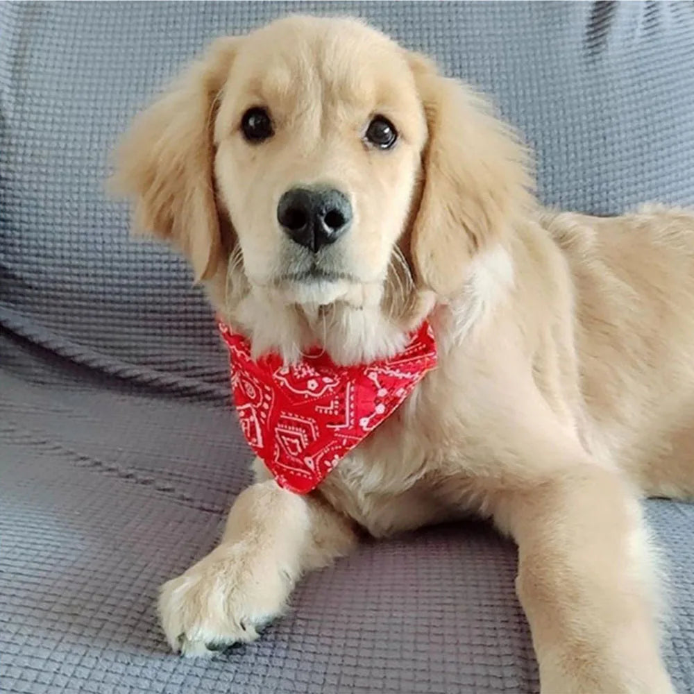 Adjustable Dog Bandana Collar Scarf for Puppies and Cats