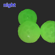Glow-in-the-Dark Squeaky Dog Ball - TPR Chew & Teeth Cleaning Toy