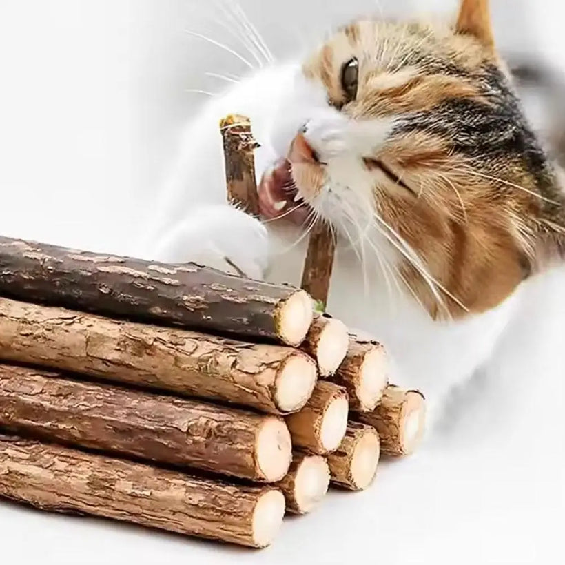 Natural Catnip Molar Chew Sticks for Cats