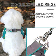 Step-In Reflective Dog Harness & Leash Set - Soft Adjustable Puppy Vest