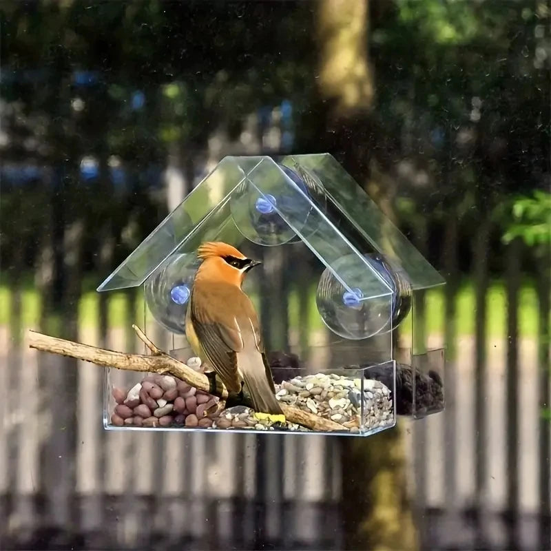 Outdoor Acrylic Bird Feeder House for Window Viewing