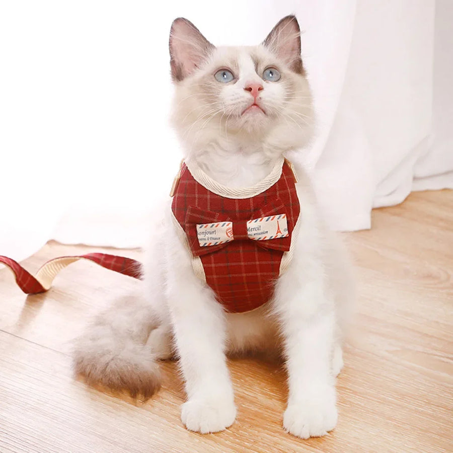 Nylon Mesh Harness and Leash Set for Small Dogs and Cats