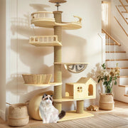 Solid Wood Floor Cat Tree House and Climbing Tower