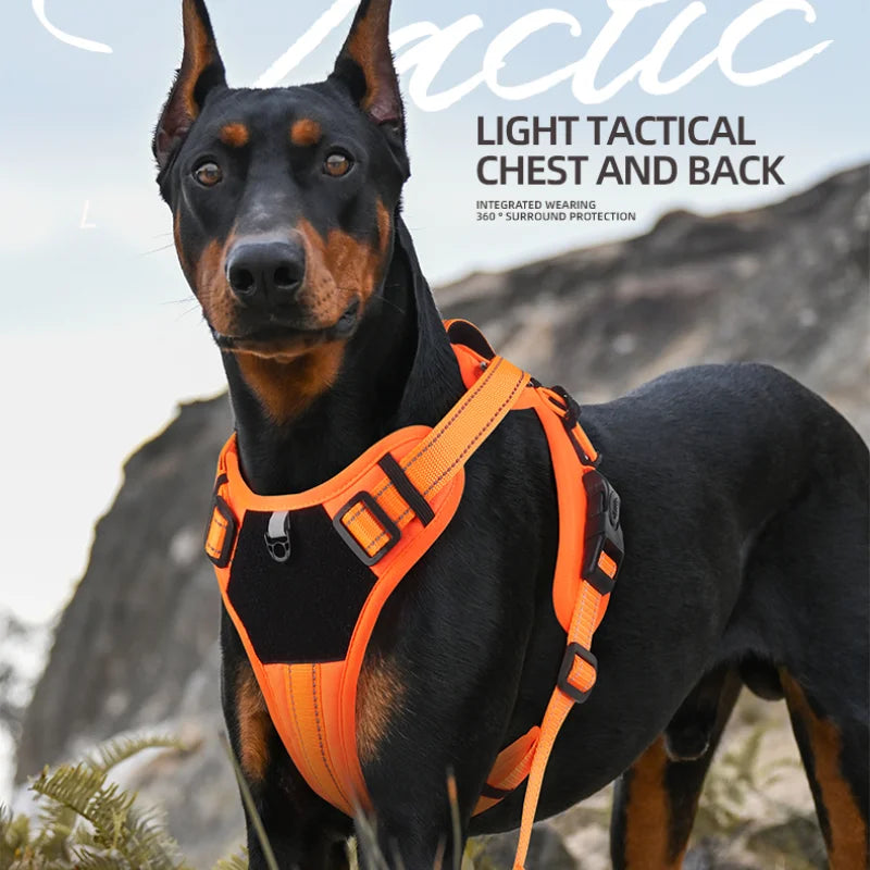 Reflective No-Pull Dog Harness - Adjustable Nylon Comfort Control Vest