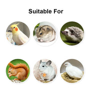 Detachable Transparent Bird Food and Water Cup