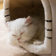 Foldable Cat Cave Bed - Warm Winter House for Cats & Small Dogs