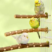 Natural Wood Parakeet Perch Stand and Paw Grinding Branch
