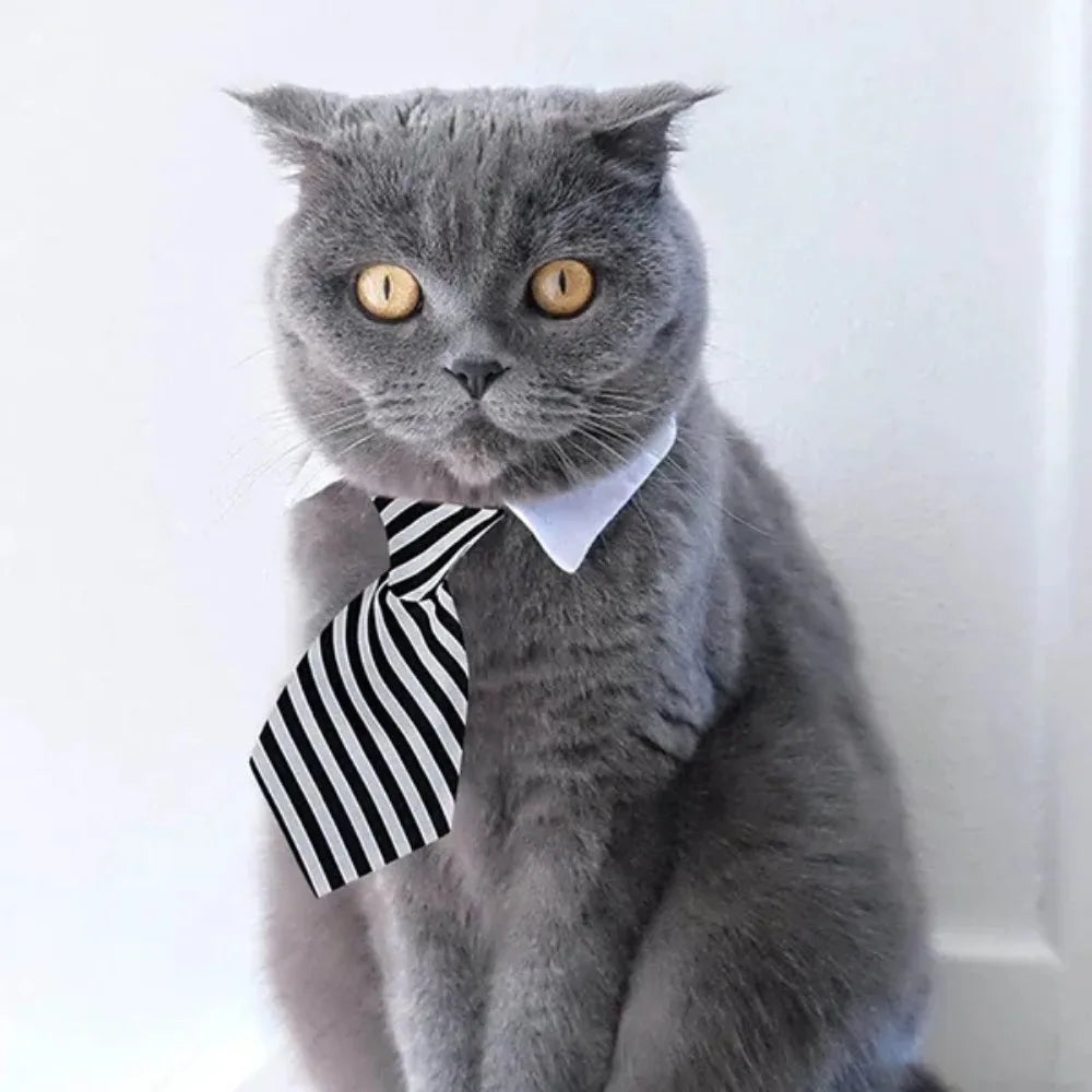 Adjustable Pet Bow Tie Necktie Collar for Dogs and Cats