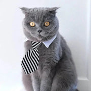 Adjustable Pet Bow Tie Necktie Collar for Dogs and Cats
