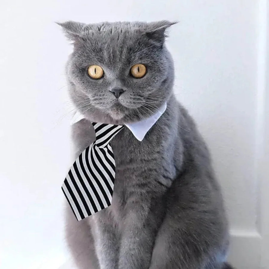 Adjustable Pet Bow Tie Necktie Collar for Dogs and Cats