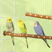 Natural Wood Parakeet Perch Stand and Paw Grinding Branch