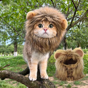 Lion Mane Cat Hat - Elastic Pet Headgear for Photos & Parties