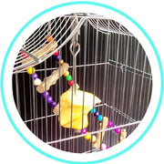 Stainless Steel Hanging Bird Feeder Fork for Fruit Snacks