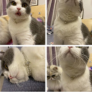 Pearl Rhinestone Collar Necklace for Cats and Small Dogs