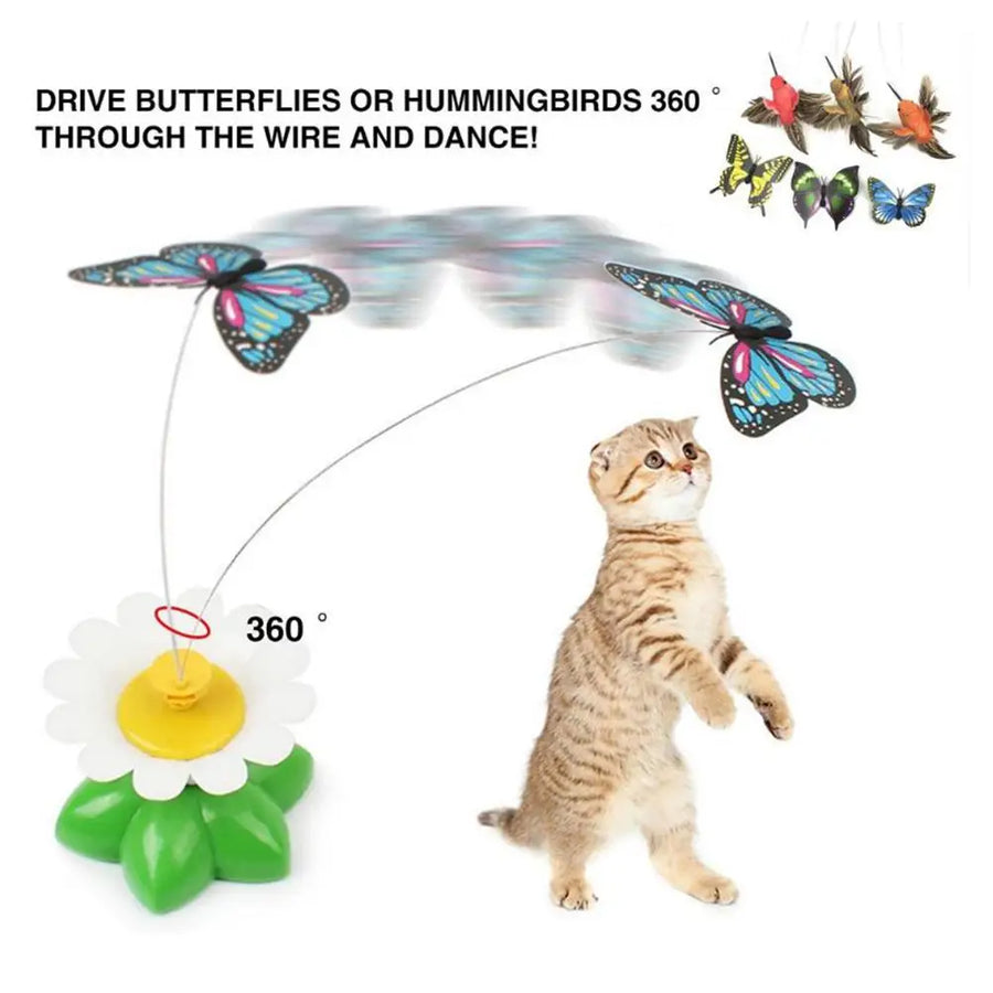 Automatic Electric Butterfly Cat Toy for Indoor Play