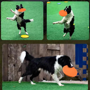 Chewable Rubber Dog Frisbee - Tear-Resistant Fetch & Training Disc