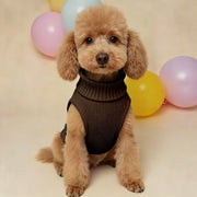 Lightweight Warm Dog Sweater - Soft Winter Pet Clothing