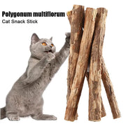 Natural Catnip Molar Chew Sticks for Cats