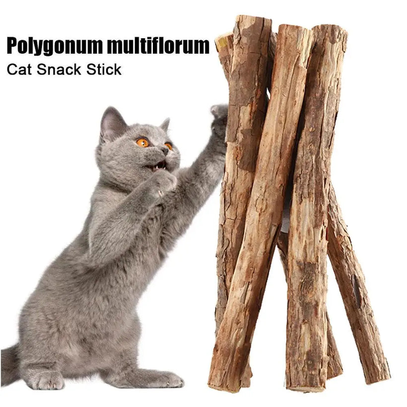 Natural Catnip Molar Chew Sticks for Cats