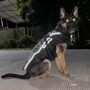 Big Dog Winter Coat With Fur Collar - Warm XL-6XL Jacket