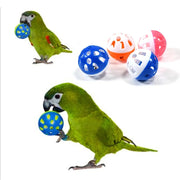 10-Piece Parrot Bell Ball Chew Toy Set