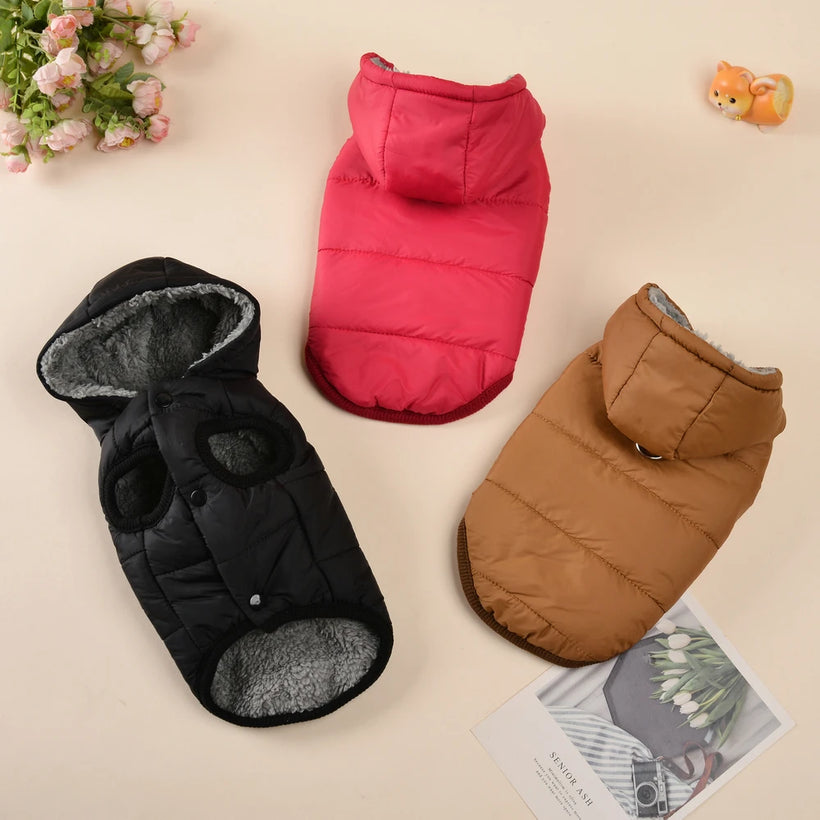 Windproof Fleece Cat Hoodie Coat - Cozy Winter Kitten Jacket