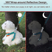 Step-In Reflective Dog Harness & Leash Set - Soft Adjustable Puppy Vest