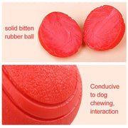 HOOPET Bite-Resistant Rubber Ball Dog Toy - Solid Chew & Fetch Ball