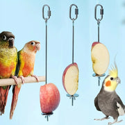 Stainless Steel Hanging Bird Feeder Fork for Fruit Snacks