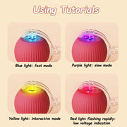 Rechargeable Automatic Rolling Cat Ball with Faux Tail