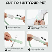 USB Rechargeable LED Dog Collar with 9 Flashing Modes