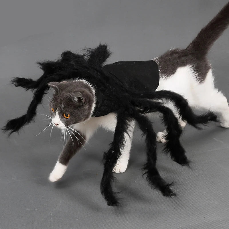 Halloween Spider Pet Costume - Funny Dog & Cat Cosplay Outfit