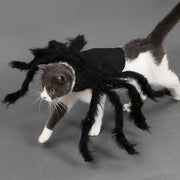 Halloween Spider Pet Costume - Funny Dog & Cat Cosplay Outfit