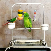 Stainless Steel Hanging Bird Feeder Fork for Fruit Snacks