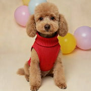 Lightweight Warm Dog Sweater - Soft Winter Pet Clothing