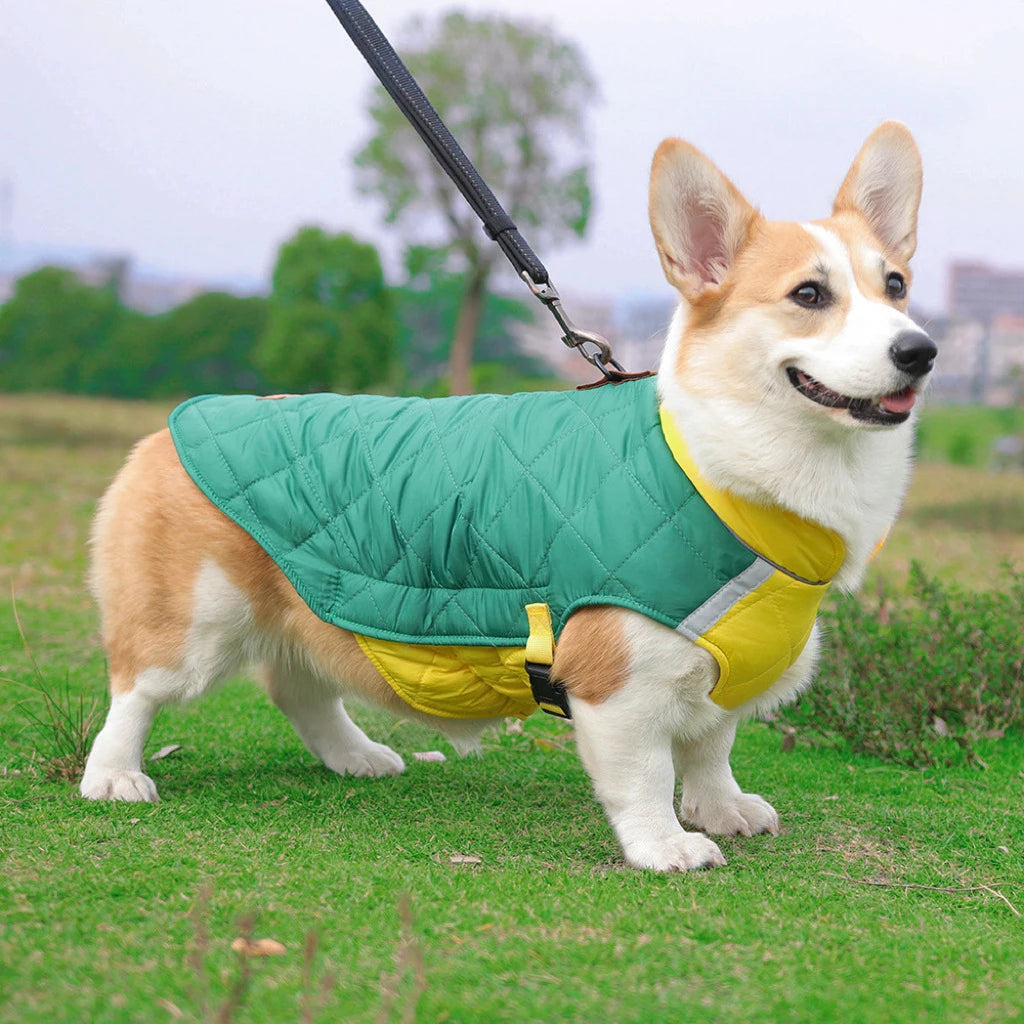 Waterproof Padded Dog Vest Jacket - Warm Coat for Small Large Dogs