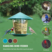 Automatic Hanging Bird Feeder with Multi-Hole Dispenser