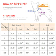 Bear Print Plush Pet Sweater - Winter Button Jacket for Cats & Dogs