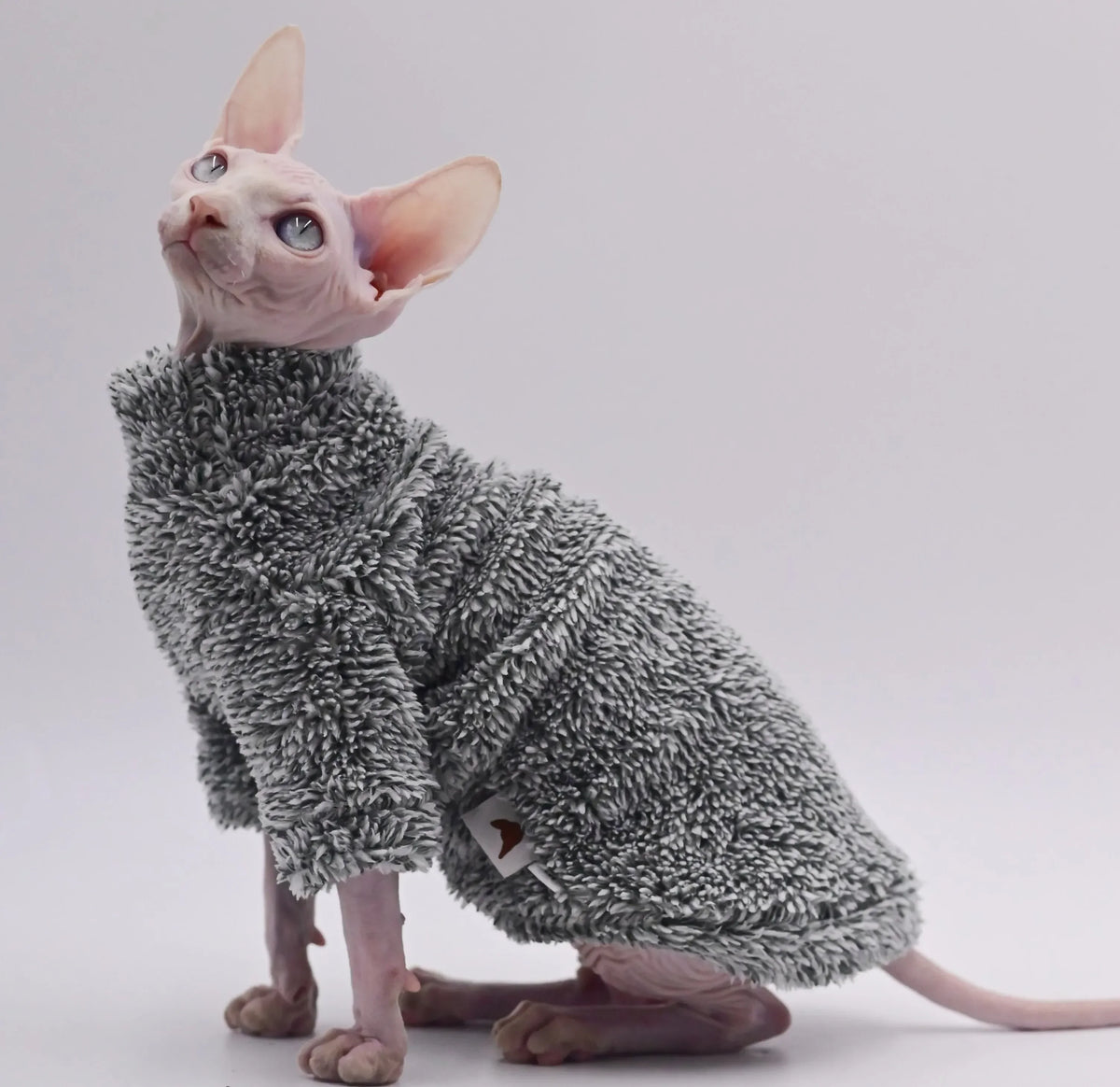 Double-Sided Fluffy Sphynx Cat Jacket - Warm Winter Hairless Cat Coat
