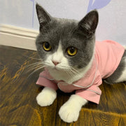 Christmas Cat Hoodie Costume - Winter Sphynx Sweatshirt Suit