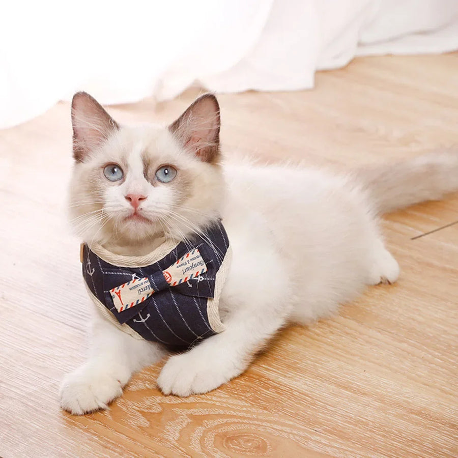 Nylon Mesh Harness and Leash Set for Small Dogs and Cats