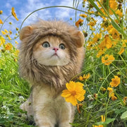 Lion Mane Cat Hat - Elastic Pet Headgear for Photos & Parties