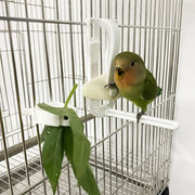 Parrot Fruit and Vegetable Clip Holder for Bird Cages