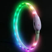 USB Rechargeable LED Dog Collar with 9 Flashing Modes