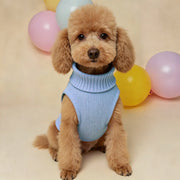 Lightweight Warm Dog Sweater - Soft Winter Pet Clothing